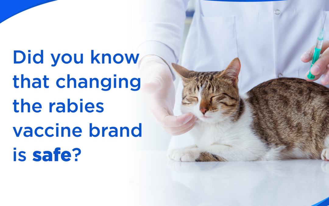 Animal Bite Vaccine Guidelines: Is it safe to mix rabies vaccine brands?