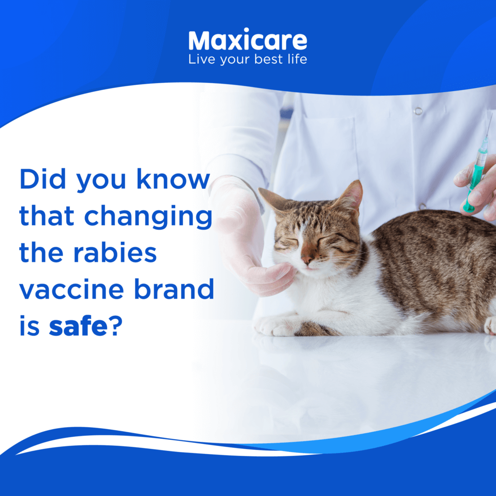 Guidelines to mixing animal vaccine brands - Maxicare